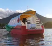 フェリー 販売中