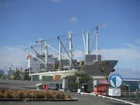冷凍船 販売のため