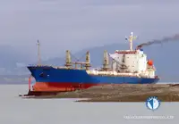 冷凍船 販売中