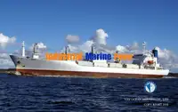 冷凍船 販売中