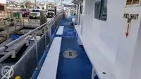 カタマラン 販売中