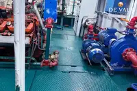 フェリー 販売中