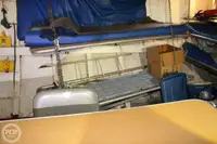 フェリー 販売中