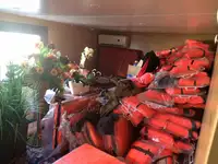 コンテナ船 販売中