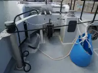 カタマラン 販売中