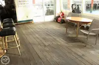 フェリー 販売中