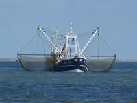 トロール漁船 販売中