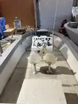 作業船 販売中
