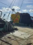 Purse seiner 販売のため