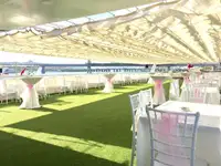 クルーズ船 販売中