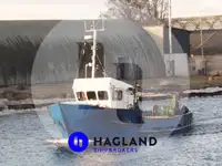 生きている魚のキャリア 販売のため