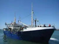 Purse seiner 販売のため