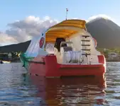 フェリー 販売中