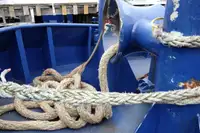 曳船 販売中