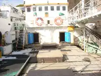 延縄漁船 販売中