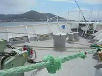 巡視艇 販売中
