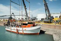 Trawler 販売のため