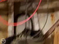フェリー 販売中