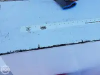 フェリー 販売中
