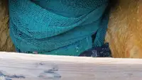 トロール漁船 販売中