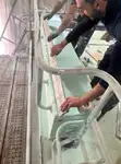 作業船 販売中
