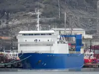 ばら積み貨物船 販売中