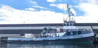 曳船 販売中