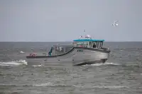 旅客船 販売中