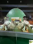 Ro-Ro船 販売中