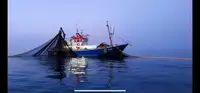 Trawler 販売のため