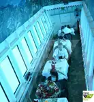 レストラン船 販売中