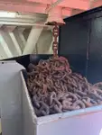 作業船 販売中