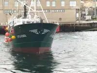 トロール漁船 販売中