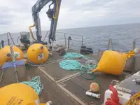 作業船 販売中