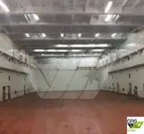 Ro-Ro船 販売中