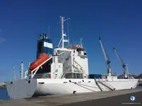 冷凍船 販売のため