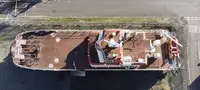 カタマラン 販売中