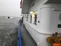 多目的 販売のため