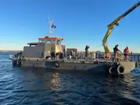 多目的 販売のため