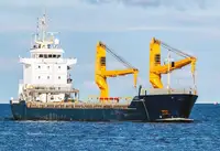 ばら積み貨物船 販売のため