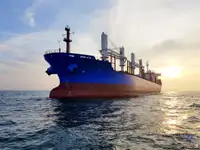 ばら積み貨物船 販売のため