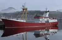 ばら積み貨物船 販売のため