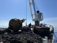 多目的 販売のため