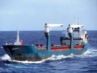 ばら積み貨物船 販売のため