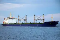 ばら積み貨物船 販売のため