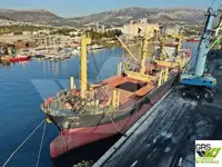 ばら積み貨物船 販売のため