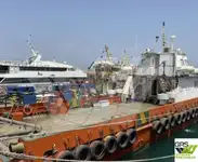 風力発電所の船 販売のため