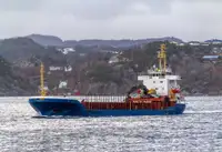 ばら積み貨物船 販売のため