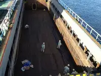 ばら積み貨物船 販売のため