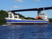 ばら積み貨物船 販売のため